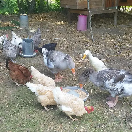 Matilon, 5 Min Eugenie Les Bains Apartment