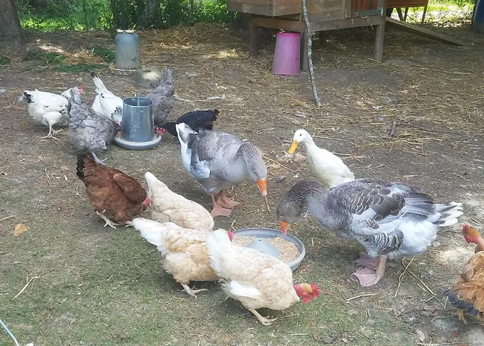 Matilon, 5 Min Eugenie Les Bains Apartment